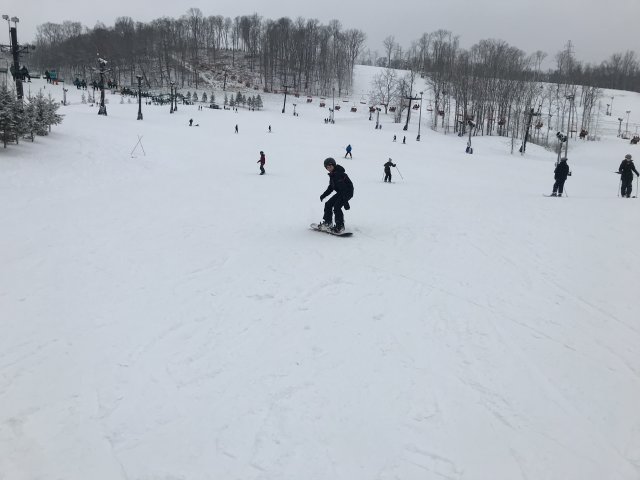 2019 Perfect North